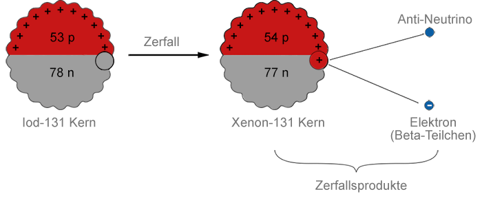 Beta-Zerfall von Iod-131 zu Xenon-131